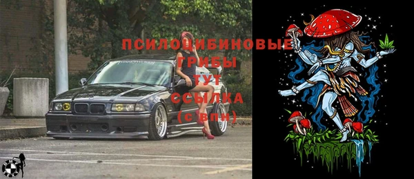 ешки Верхний Тагил