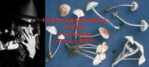 соль курить ск Верея