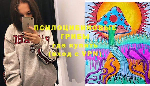 соль курить ск Верея