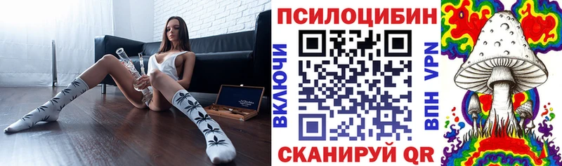 Псилоцибиновые грибы мицелий  купить наркоту  Нальчик 